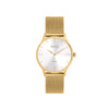 GLACIER GOLD 36MM - MESH